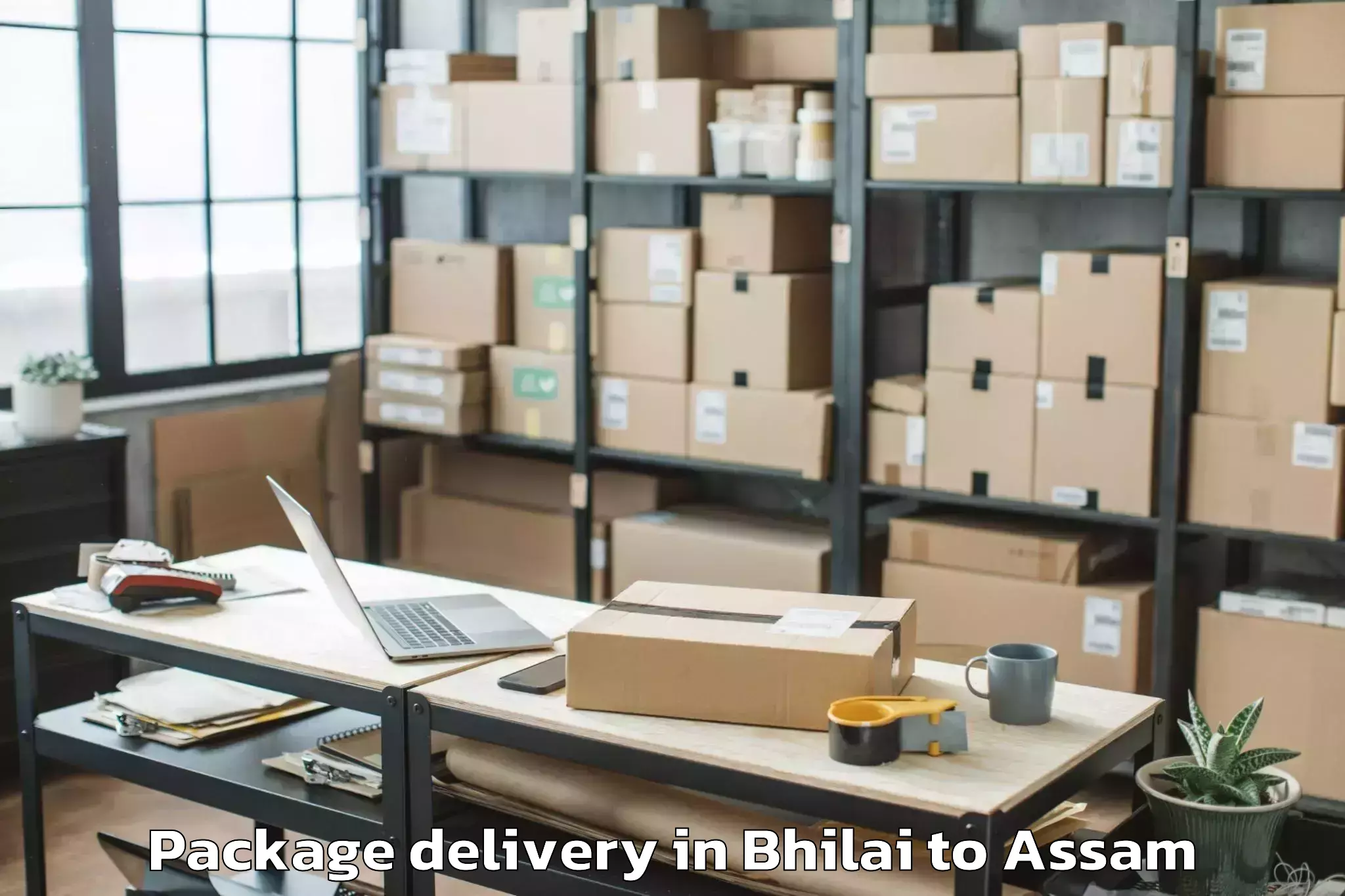 Reliable Bhilai to Bajali Pt Package Delivery